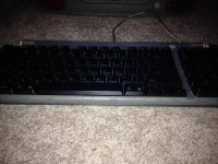 IMG_1965.JPG IMG_1965.JPG