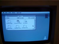 Macintosh BASICs.jpg