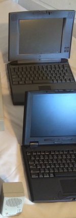 blackbird iceball.jpg