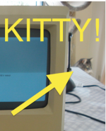 Screen Shot 2015-03-20 at 3.01.08 PM.png