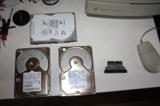 IMG_6312.JPG IMG_6312.JPG