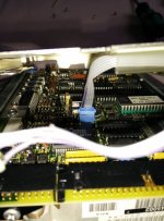 2015-05-01 11.00.59.jpg