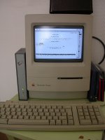 DSCN6731.JPG DSCN6731.JPG