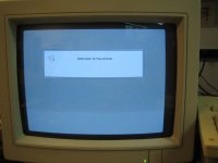 IMG_0165 (1024 x 768).jpg