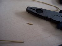 100_2846.jpg 100_2846.jpg