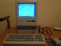 IMG_0309.jpg IMG_0309.jpg