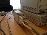 IMG_0317.JPG IMG_0317.JPG