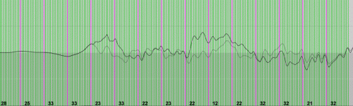 Picture-4.gif
