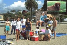 Quadra 660AV, 840AV_rom_1.jpg