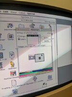 IMG_2728.jpeg