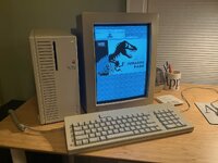 IMG_2431.jpeg