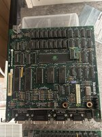IMG_1186.jpeg