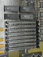 IMG_5436.JPG