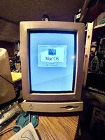 IMG_8781.jpeg