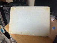 IMG_3179.jpeg