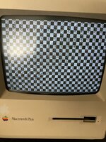 IMG_1699.JPEG