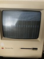 IMG_1701.JPEG