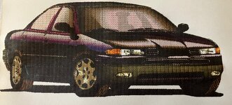IMG_2125.jpeg