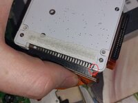 1000036716.jpg