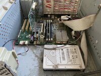 IMG_1971.jpeg