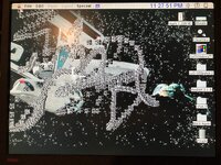IMG_2132.jpeg