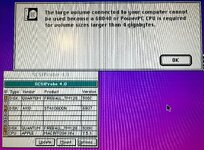 IMG_2140.jpeg