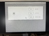 IMG_6547.jpeg
