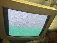 IMG_0197.jpeg