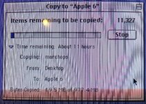 IMG_2144.jpeg