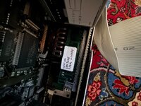 IMG_0104.jpeg