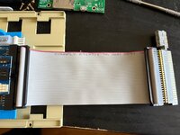 IMG_1411.jpeg IMG_1411.jpeg