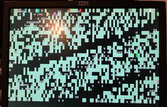 IMG_2184.jpeg IMG_2184.jpeg