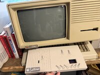 IMG_7784.jpeg