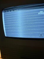 image0 (1).jpeg