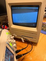 IMG_0013.jpeg