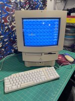 IMG_3312.jpeg