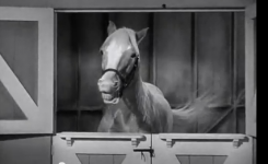 Screen shot 2012-12-28 at 8.36.59 PM.png