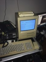 IMG_3491.jpg IMG_3491.jpg