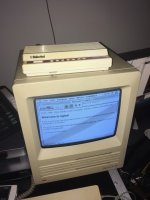 IMG_3493.jpg IMG_3493.jpg