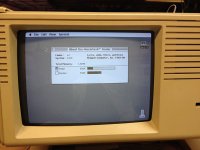 lisa_2_5_14.jpg