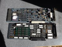 DSCF2710.JPG DSCF2710.JPG