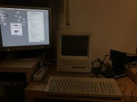 IMG_4248.JPG