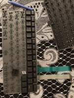 IMG_3231.JPG