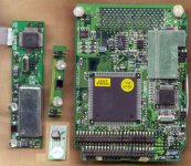 T-REX&Co_Bottom.jpg T-REX&Co_Bottom.jpg