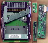 T-REX&Co_top.jpg T-REX&Co_top.jpg