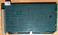 IMG_4397.JPG IMG_4397.JPG