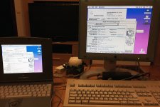 PB Duo 270c Studio Display small.jpg PB Duo 270c Studio Display small.jpg