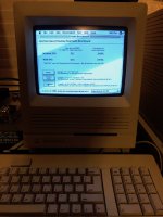 IMG_0253.JPG IMG_0253.JPG