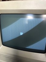 IMG_0980.jpg IMG_0980.jpg