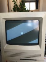 IMG_0985.jpg IMG_0985.jpg